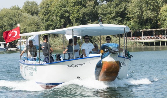 Doğa Dostu 'Yalı Çapkını' Suya İndi Doğa Dostu 'Yalı Çapkını' Suya İndi