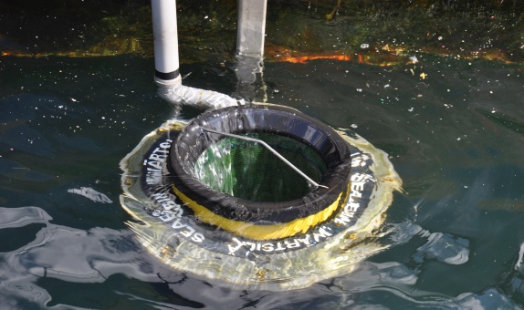 İDO ve Wartsila Denizlerin Geleceğine Sahip Çıkıyor İDO ve Wartsila Denizlerin Geleceğine Sahip Çıkıyor