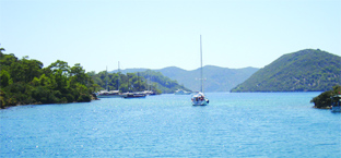 Göcek Belediye Başkanı Recep Şatır: “Göcek bitmedi, açıklamalar yanlış” Göcek Belediye Başkanı Recep Şatır: “Göcek bitmedi, açıklamalar yanlış”