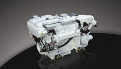 Scam MarIne Kadek Ticaret’le Türkiye’de