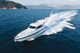 Mangusta 72