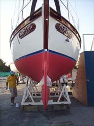 Zehirli boya seçimi ve uygulaması Zehirli boya seçimi ve uygulaması